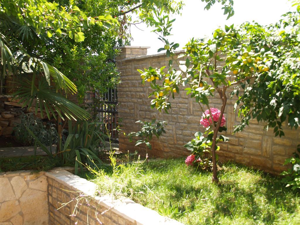Apartments Frank Ρόβινι Εξωτερικό φωτογραφία