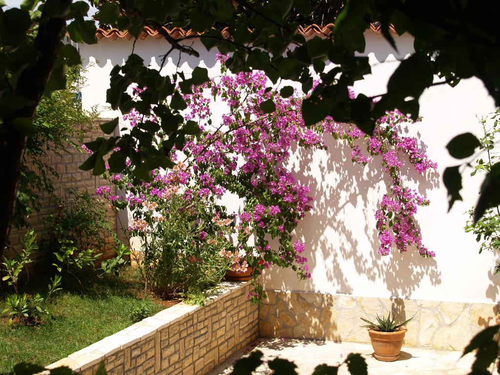 Apartments Frank Ρόβινι Εξωτερικό φωτογραφία