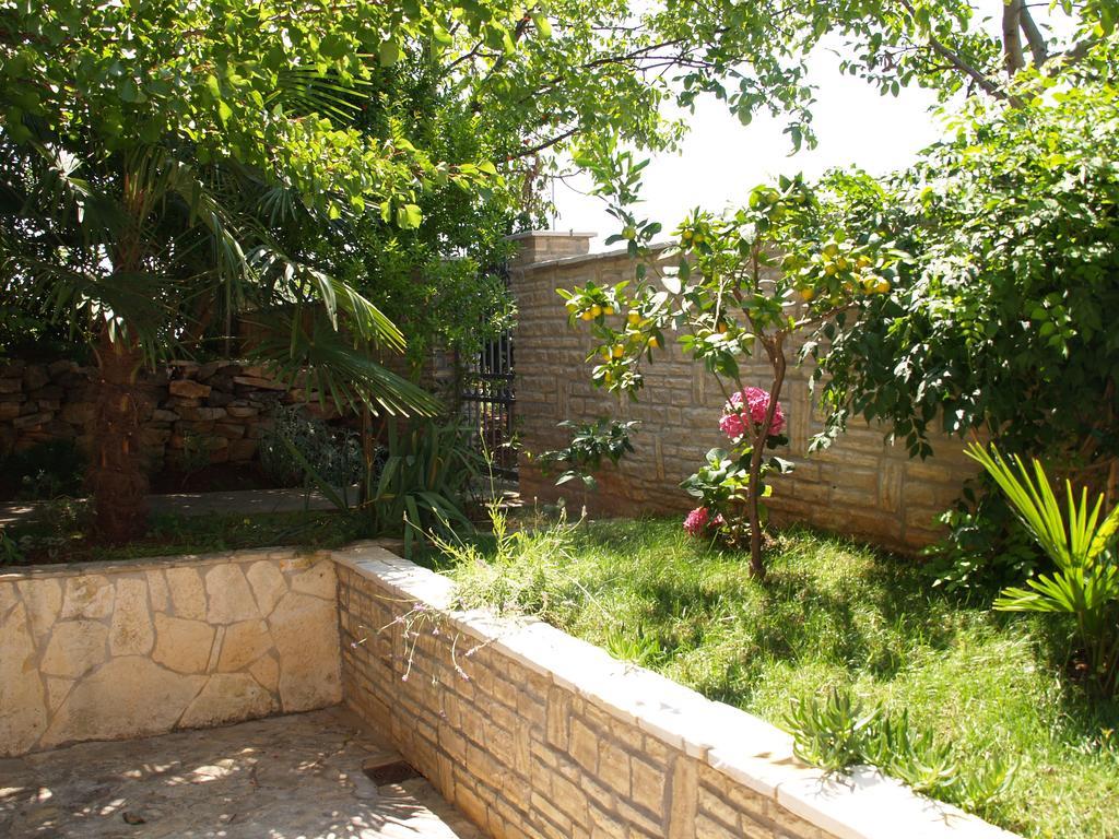 Apartments Frank Ρόβινι Εξωτερικό φωτογραφία