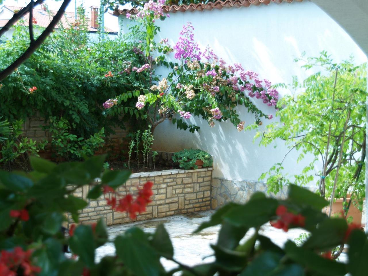 Apartments Frank Ρόβινι Εξωτερικό φωτογραφία